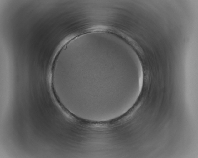 X0000111161418200908111145