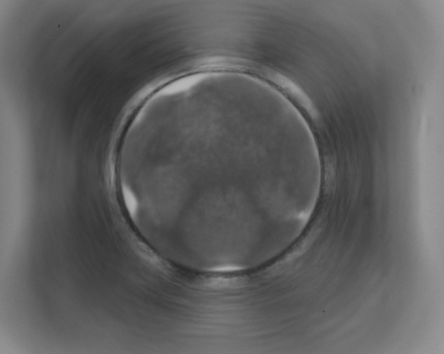 X0000111161419200908111145
