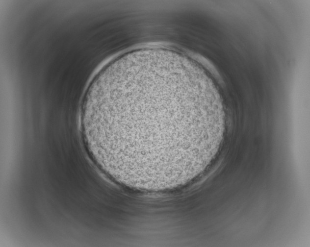 X0000111161420200908111145