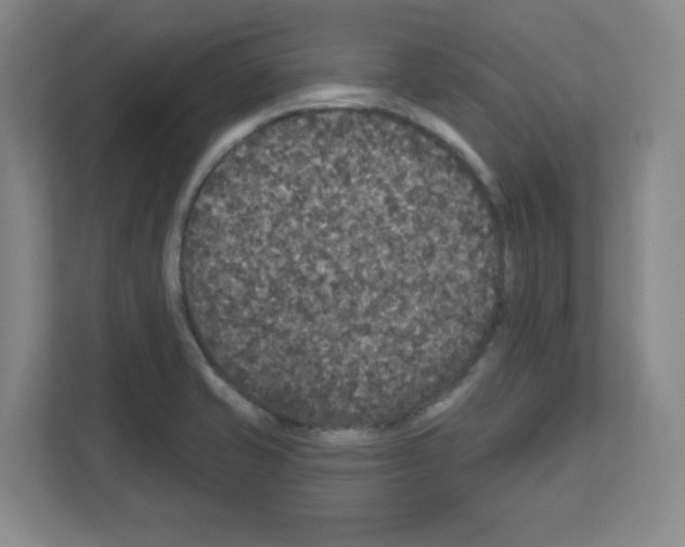 X0000111161421200908111145