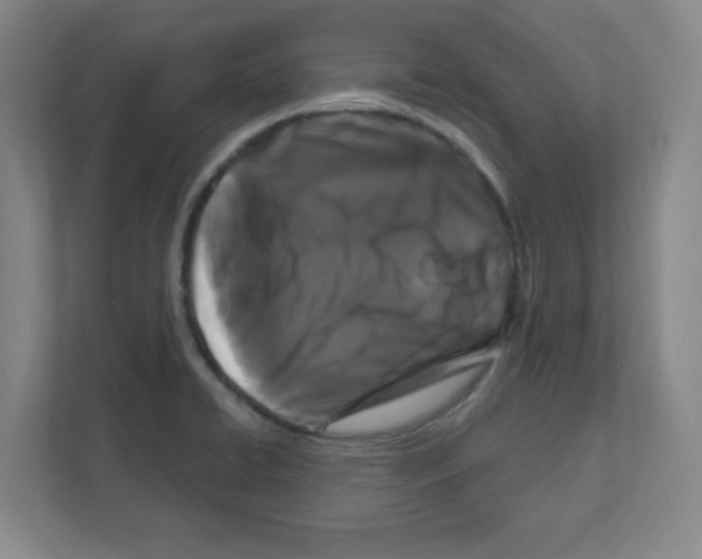 X0000111161422200908111145