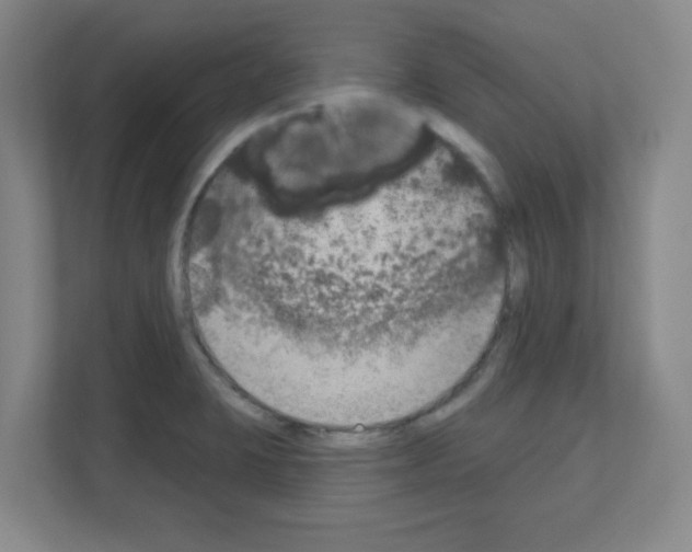 X0000111161423200908111145