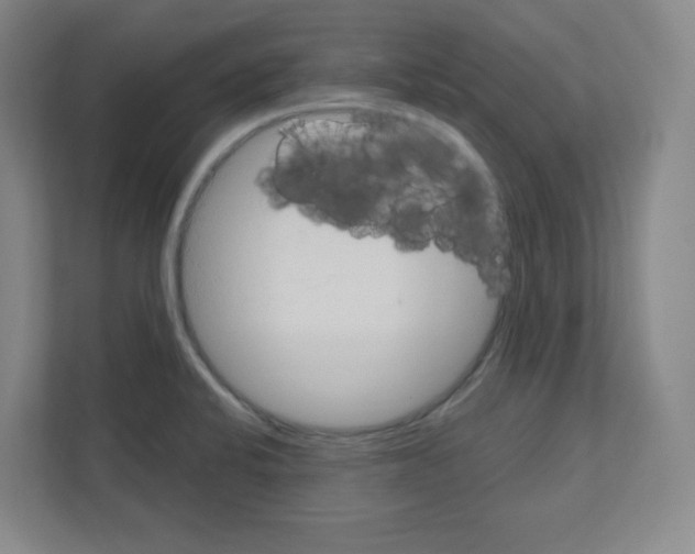 X0000111161424200908111145
