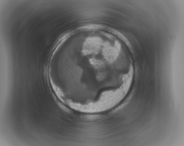 X0000111161425200908111145