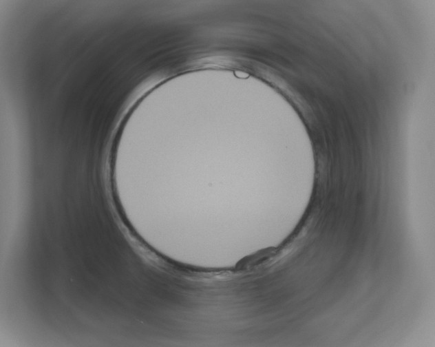 X0000111161426200908111145