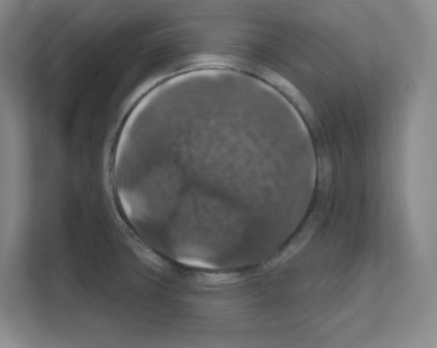 X0000111161427200908111145