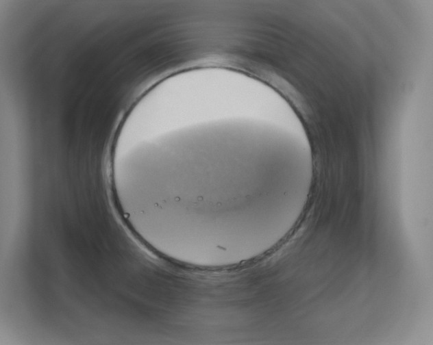 X0000111161428200908111145