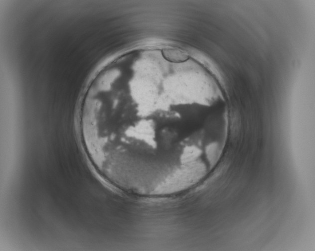 X0000111161429200908111145