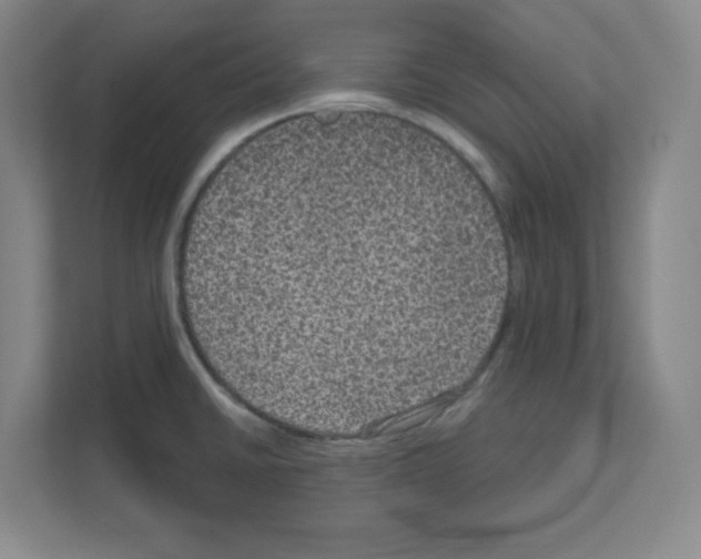 X0000111161430200908111145