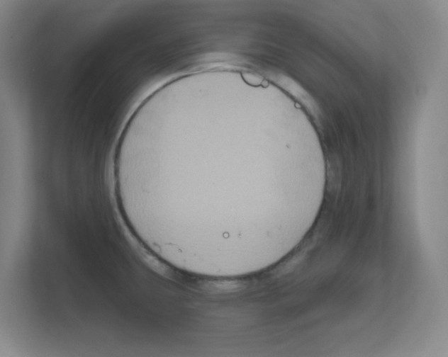 X0000111161431200908111145