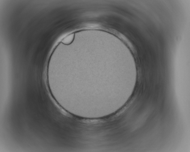X0000111161432200908111145