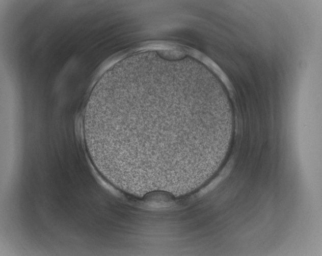 X0000111161433200908111145