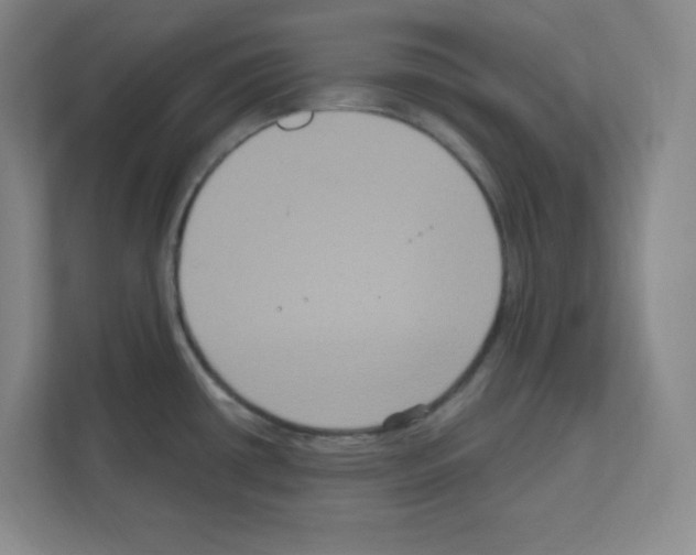 X0000111161434200908111145
