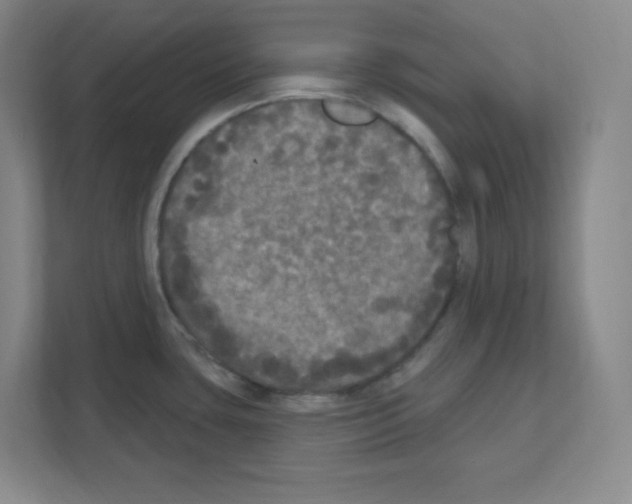 X0000111161435200908111145
