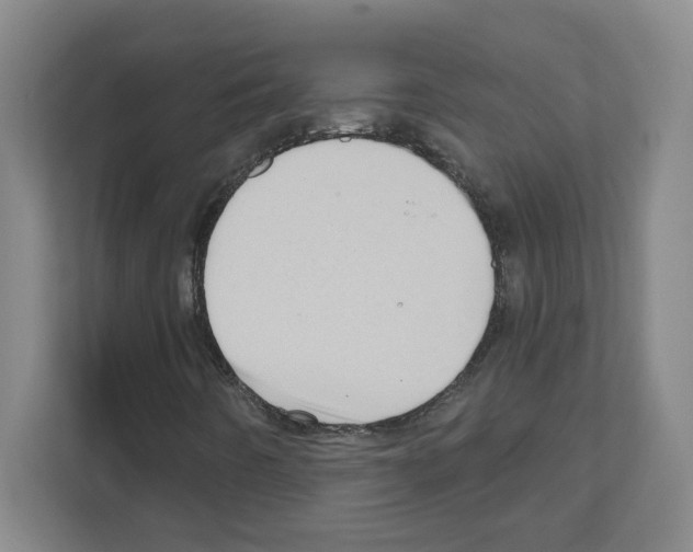 X0000111161442200908111144
