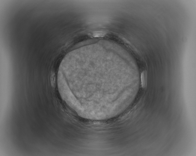X0000111161443200908111144