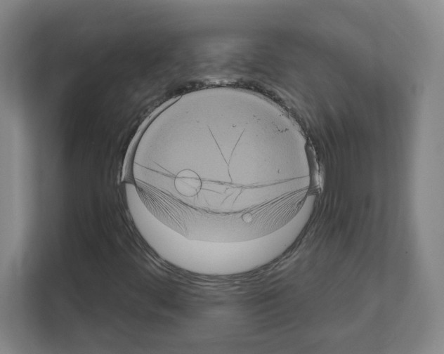 X0000111161444200908111144