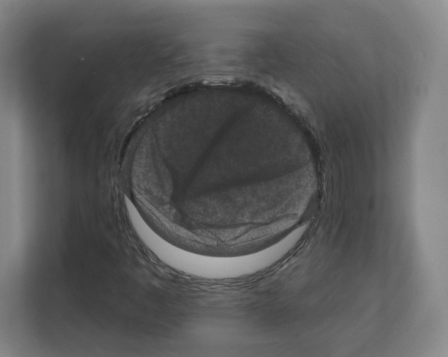 X0000111161445200908111144