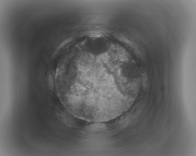 X0000111161446200908111144