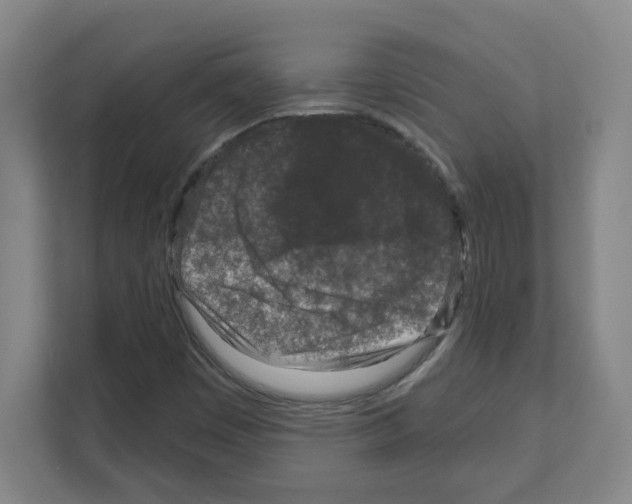 X0000111161449200908111144