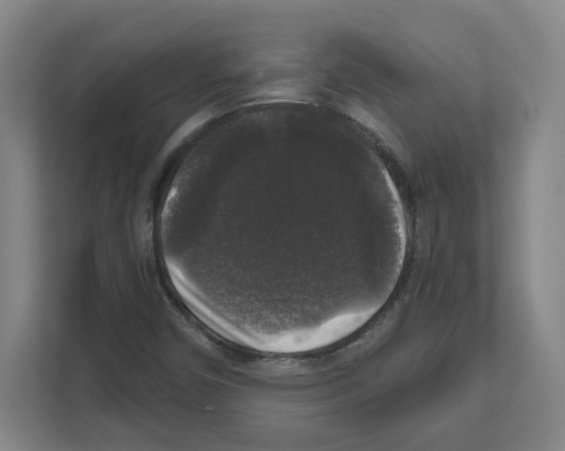 X0000111161450200908111144