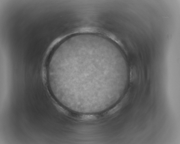 X0000111161454200908111144
