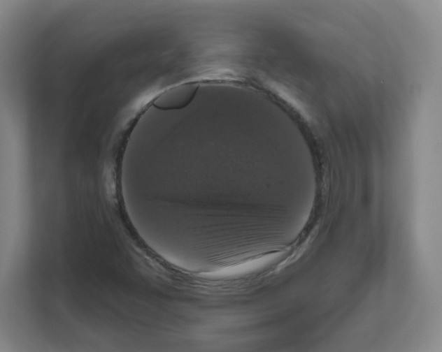 X0000111161455200908111144