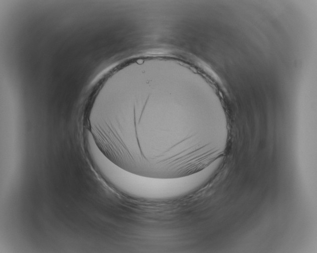 X0000111161456200908111144