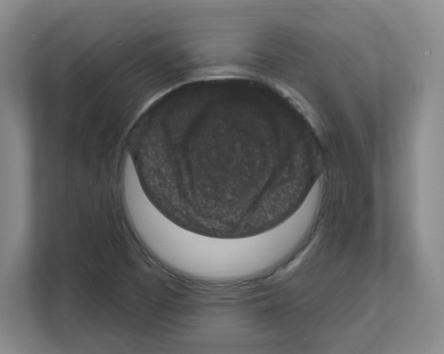 X0000111161457200908111144