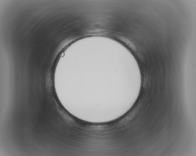 X0000111161458200908111144
