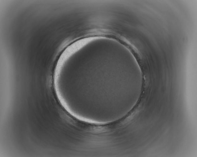 X0000111161459200908111144
