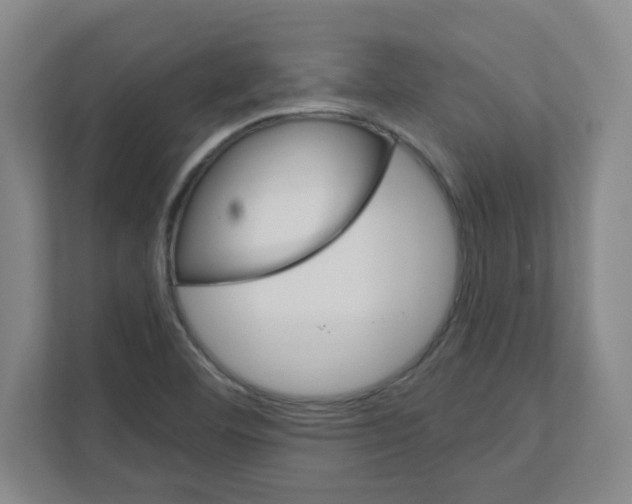 X0000111161460200908111144