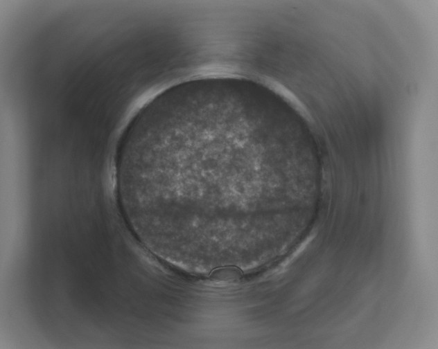 X0000111161461200908111144