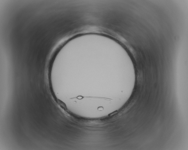 X0000111161464200908111144