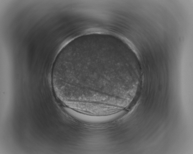X0000111161465200908111144