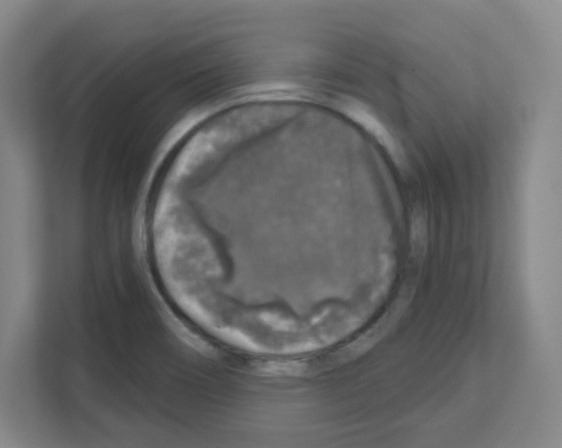 X0000111161466200908111144