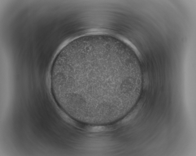 X0000111161467200908111144