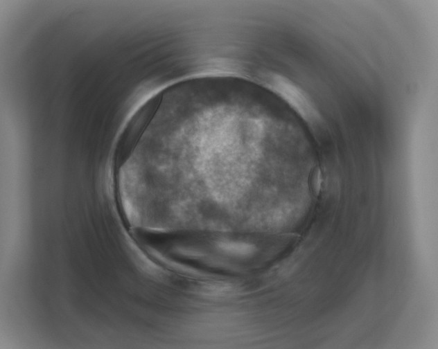 X0000111161468200908111144