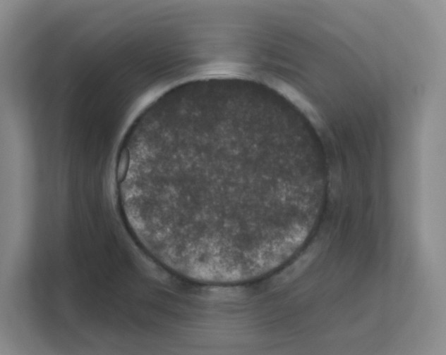 X0000111161469200908111144
