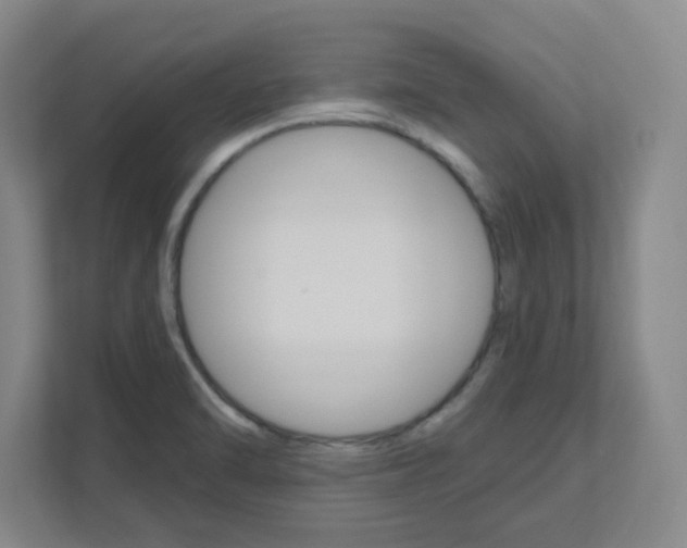 X0000111161470200908111144