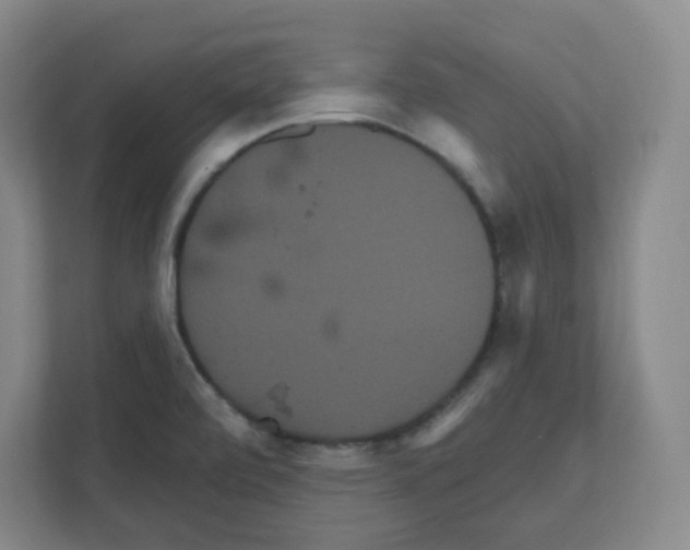 X0000111161472200908111144