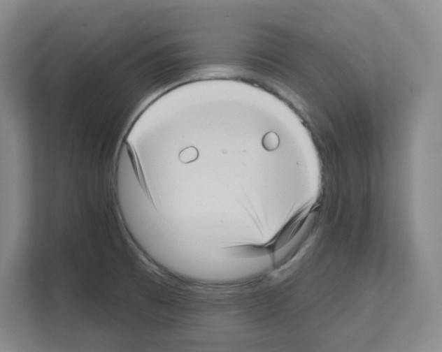 X0000111161473200908111144