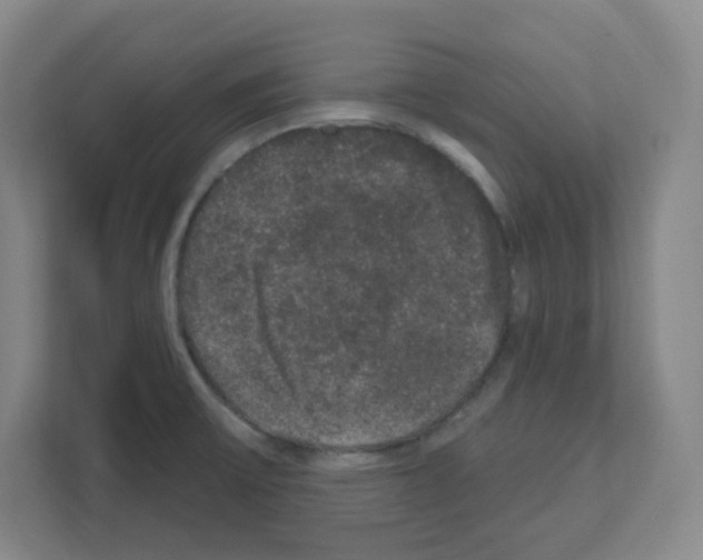 X0000111161475200908111144