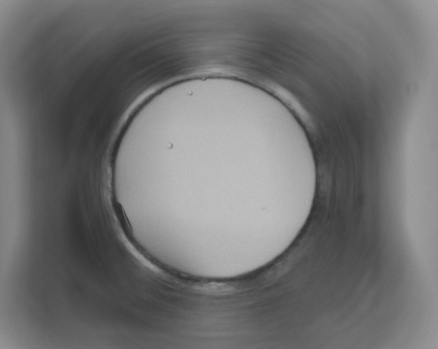 X0000111161476200908111144