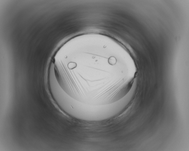 X0000111161477200908111144