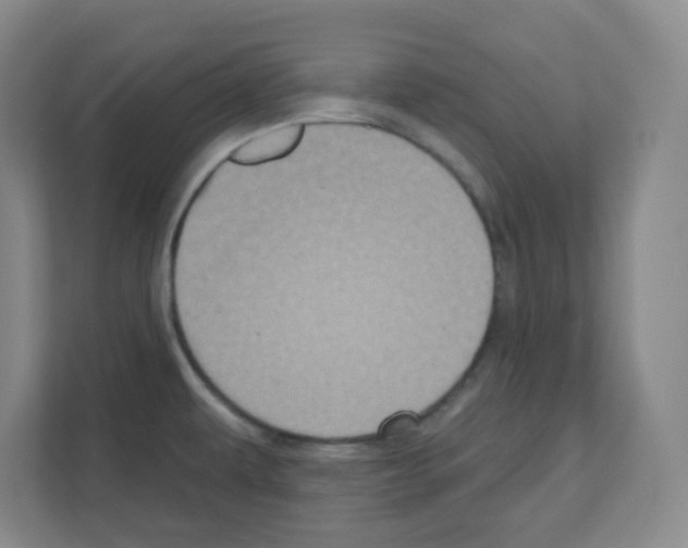 X0000111161479200908111144