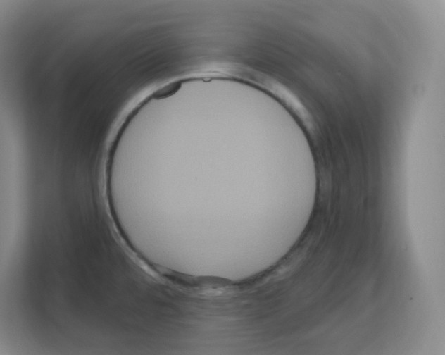 X0000111161480200908111144