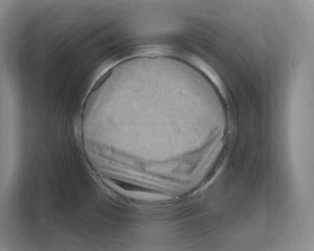 X0000111161481200908111144