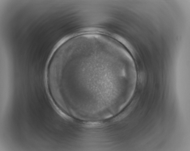 X0000111161482200908111144