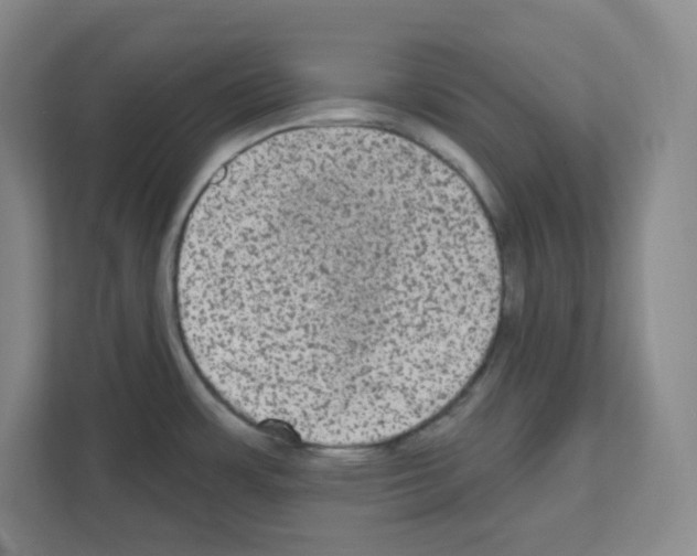 X0000111161483200908111144